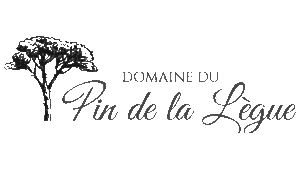 domainpinlegue copie
